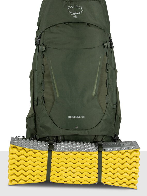 Osprey kestrel cheap 58 picholine green